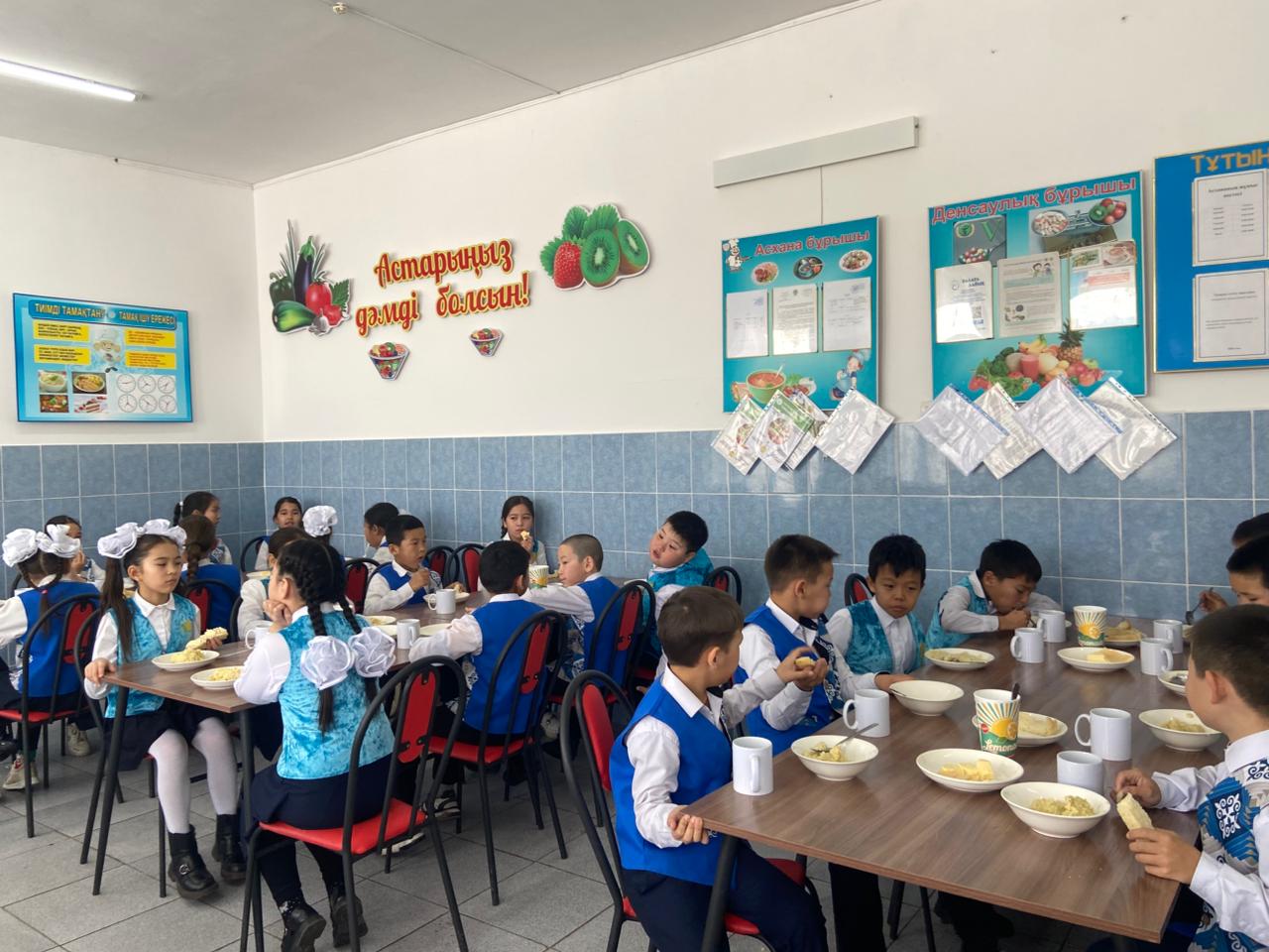 WhatsApp Image 2026 02 09 at 11.08.43